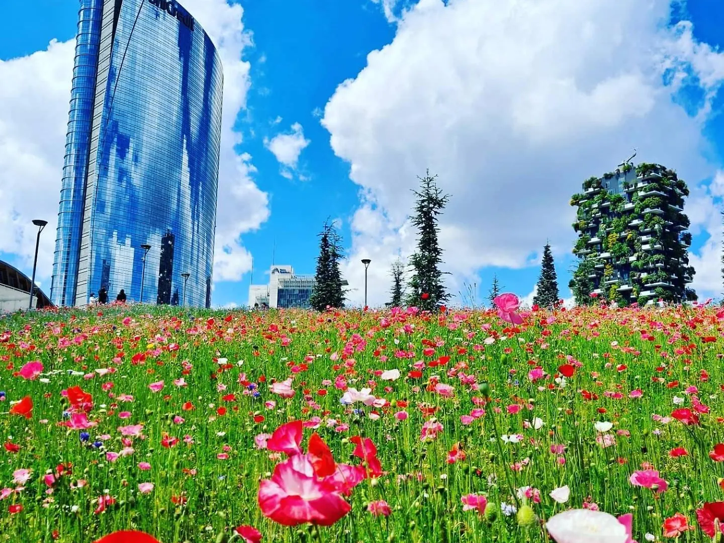 Ourjoy Condo, Free Parking, Ac, Strong Wifi - M Gioia47, Central Station, Porta Nuova, Milan Apartment